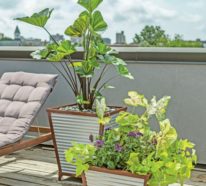 Pflanzkasten aus Edelstahl – eine beliebte Auswahl für den modernen Außenbereich