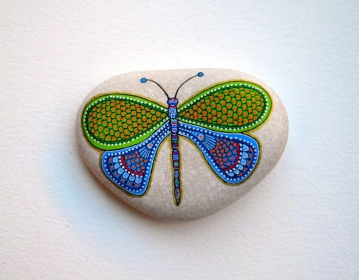 bunter Schmetterling auf einem Stein 