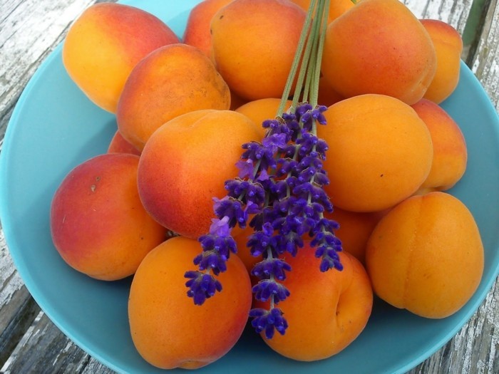 weihnachstmarmelade kochen heilkräuter lavendel aprikosen