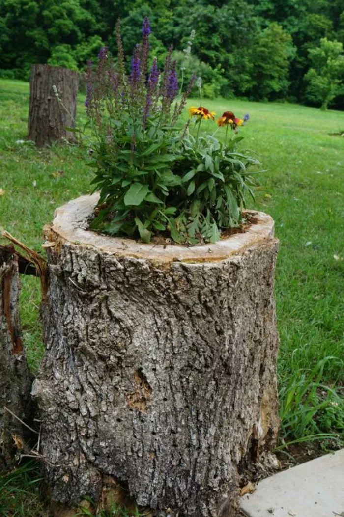 Gartendeko basteln und einen Baumstumpf in Pflanzkasten umwandeln