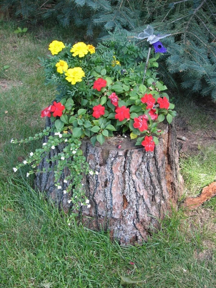 kreative Gartenideen mit Baumstumpf als Pflanzenbehälter