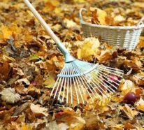 Gartenarbeit im Herbst – was steht auf Ihrer To-Do-Liste?