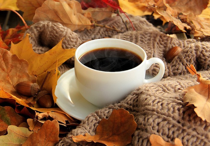 Herbstdeko Wärme Behaglichkeit Tasse Kaffee