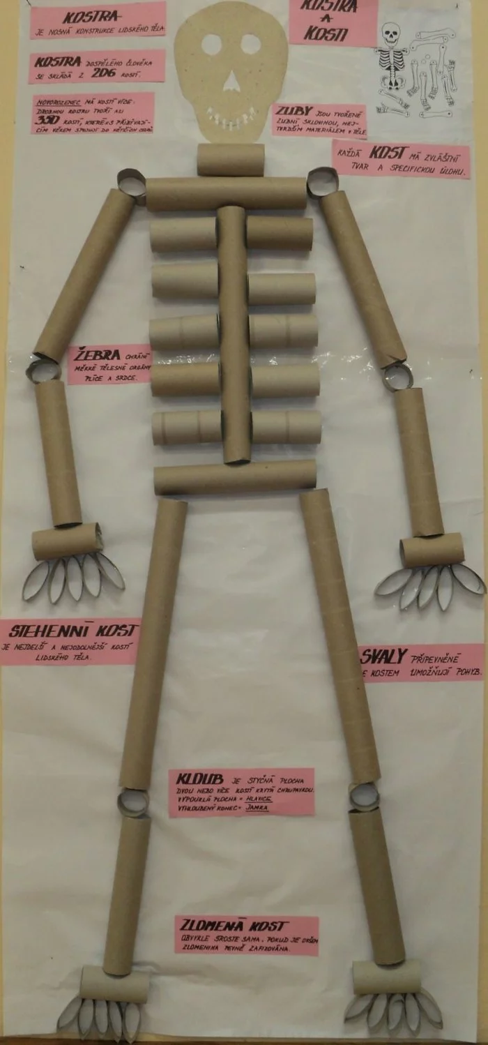 herbstbasteln mit kindern skelette 