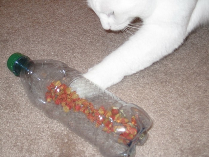 katzenspielzeug selber machen basteln mit pet flaschen