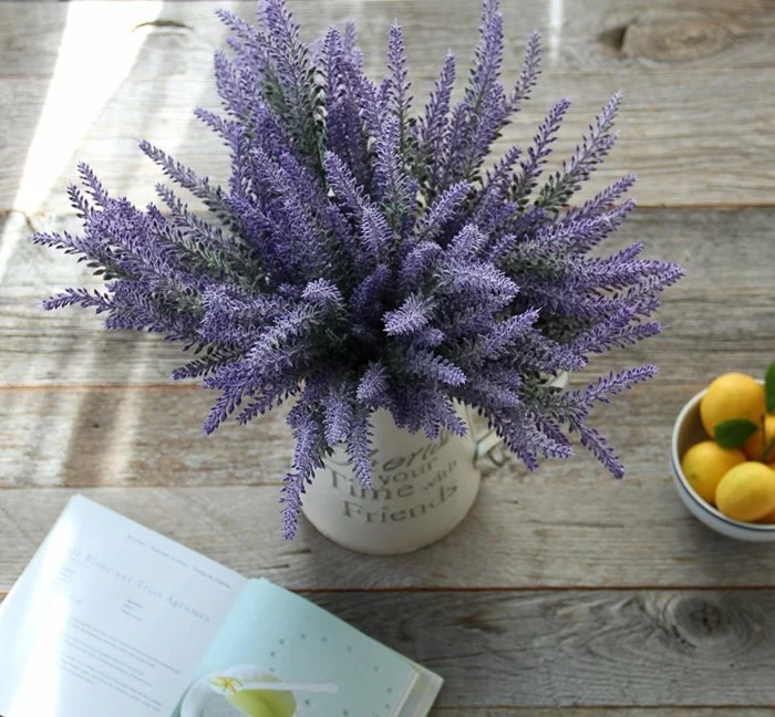 pflegeleiche zimmerpflanzen heilkraeuter lavendel