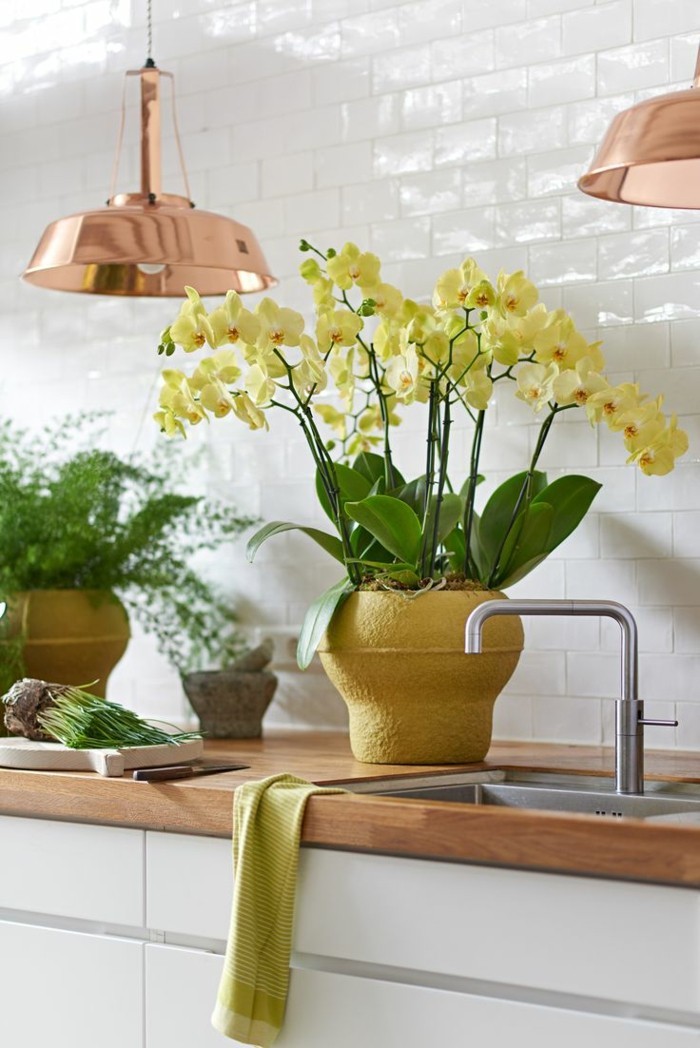 schöne dekoration mit orchideen kücheneinrichtung