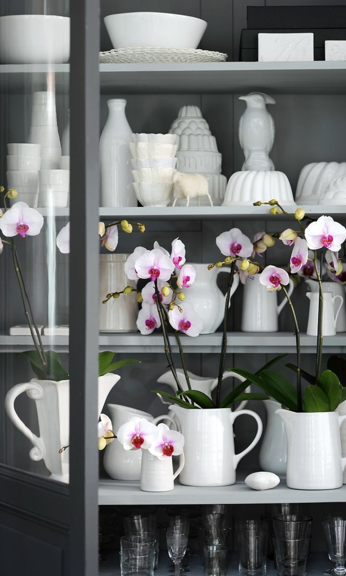 weiße orchideen diy deko 