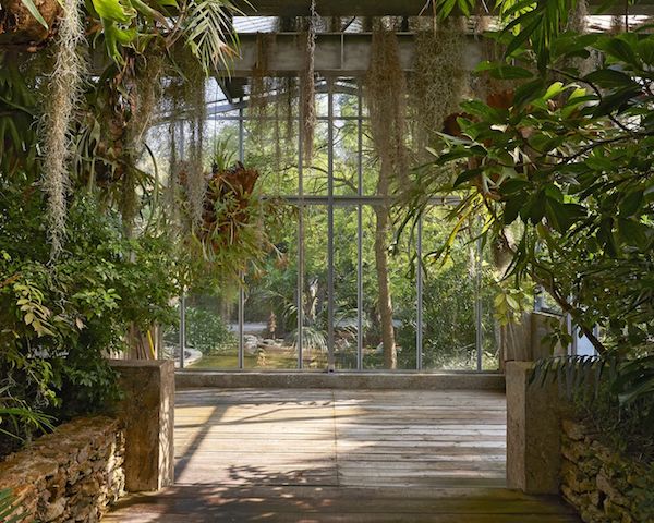 Gewächshau französische Villa herrliche Architektur exotische Pflanzen