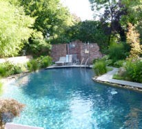 Schwimmteich im eigenen Garten: Vorteile, Einrichtungsideen und Tipps