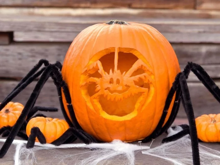 halloween kuerbis schnitzen kreative ideen spinne selber machen