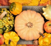 Kürbisse im Blickfang – Herbstdeko mit Kürbissen in 60 Beispielen