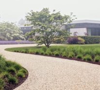 Was ist eigentlich ein minimalistischer Garten? Tipps zur Gestaltung