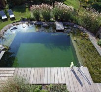 Schwimmteich im eigenen Garten: Vorteile, Einrichtungsideen und Tipps