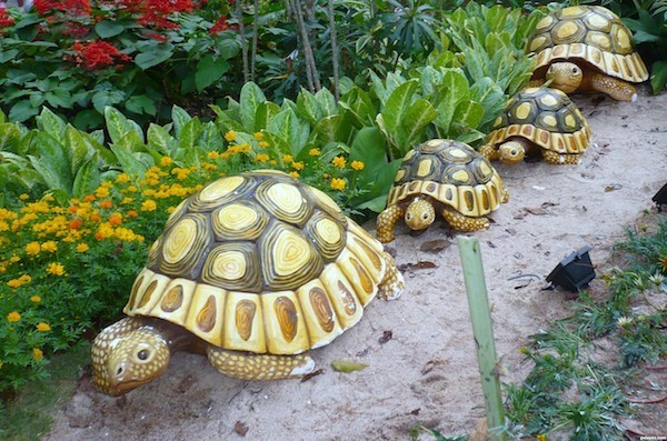 schildkröten töpfer für den garten