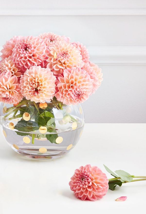 schöne Chrysanthemen Vase