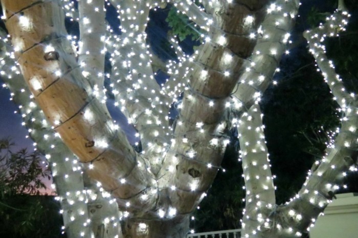 LED Weihnachsbeleuchtung ideen fuer den garten