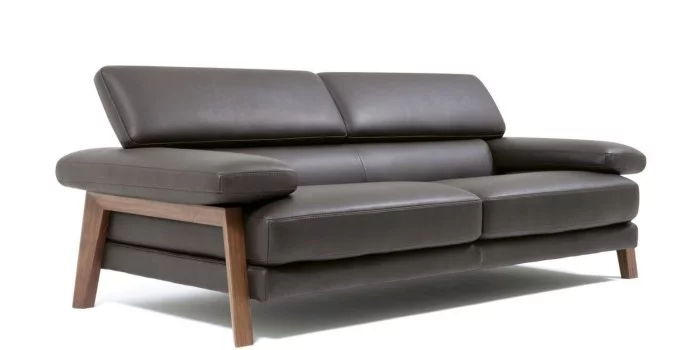 sofa designklassiker dunkle farbe - Innendesign