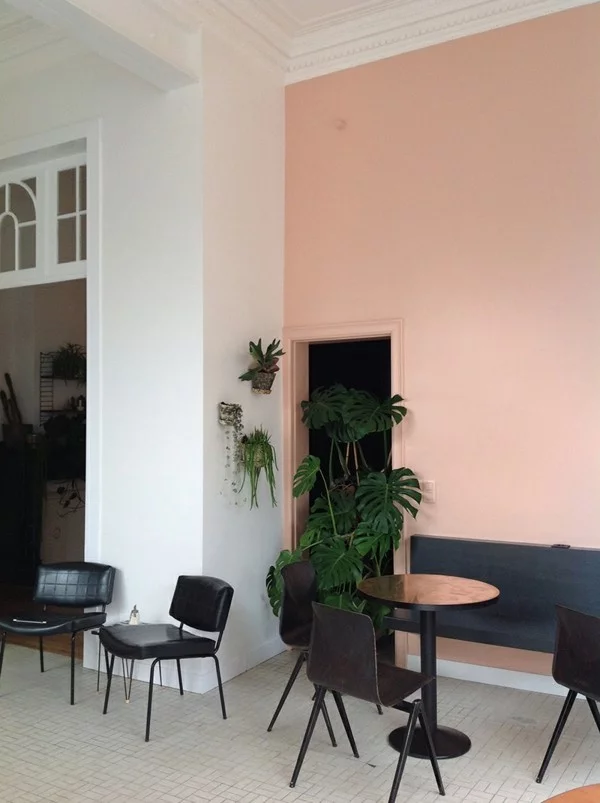 Wandfarbe Apricot, schwarze Möbel und grüne Zimmerpflanzen