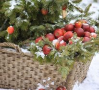 Weihnachsschmuck basteln mit Naturmaterialien – die universale Symbolik des Festes