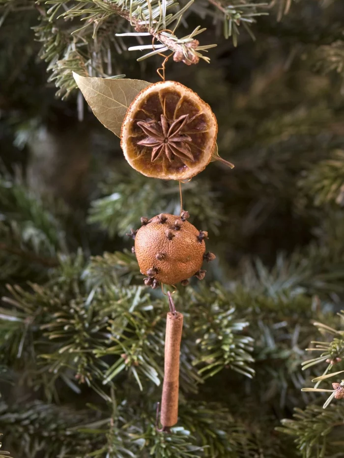 weihnachtsschmuckbasteln mit naturmaterialien orange mit nelke