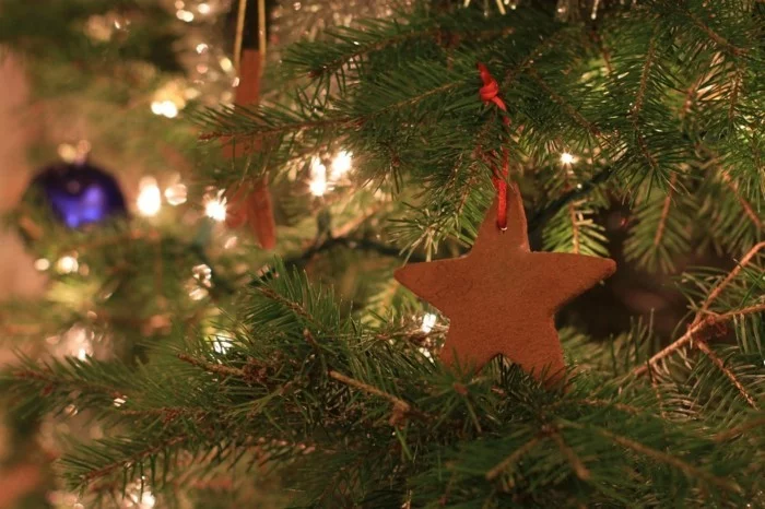 weihnachtsschmuck basteln mit naturmaterialien weihnachtskekse christbaumschmuck zimtstern
