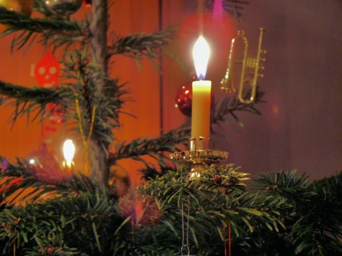 weihnachtsschmuck basteln mit naturmaterialien weihnachtskekse lichtreflex