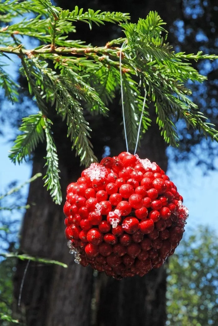 weihnachtsschmuck basteln mit naturmaterialien weihnachtskekse rote beeren