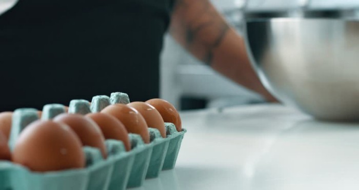 Farbe der Eierschale weiß oder braun nicht wichtig