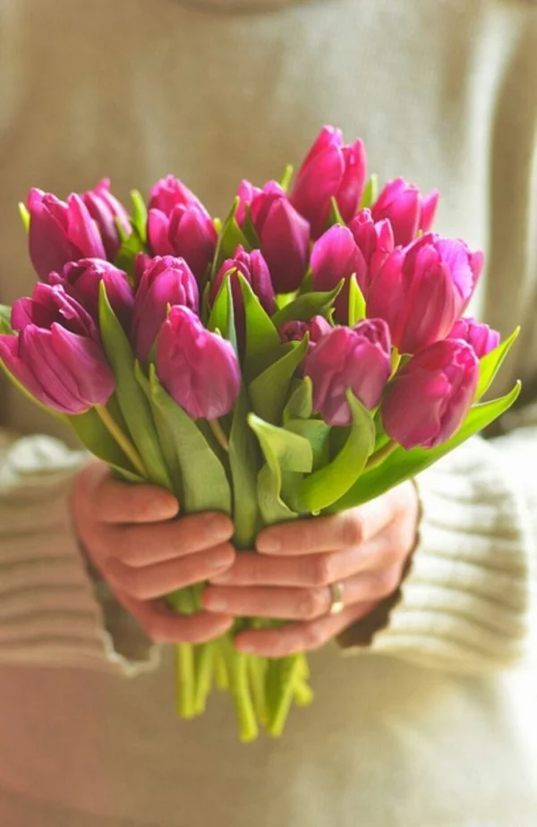 Frühlingsblumen Tulpen ideen