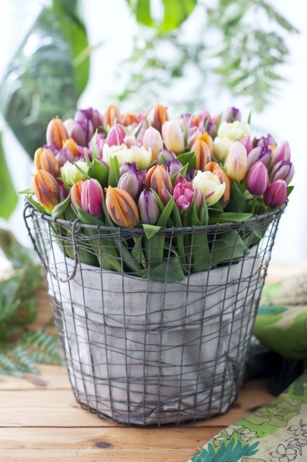 Frühlingsblumen schön bunt Tulpen