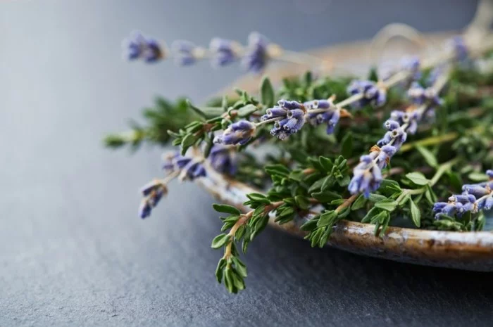frrische blüten lavendelöl selber machen