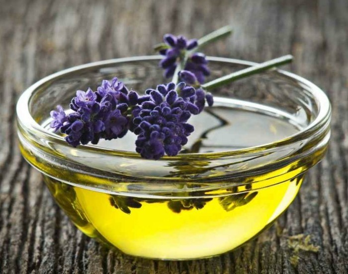lavendelöl selber machen aus frischen blüten und olivenöl