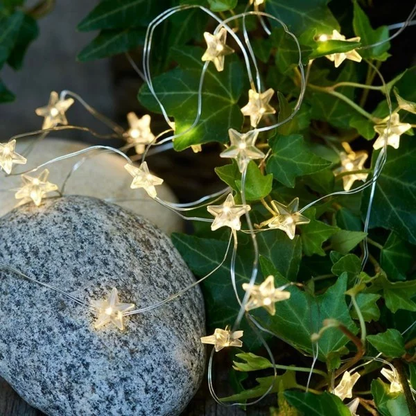 zimmerpflanzen dekorieren dekoideen mit lichterketten sterne