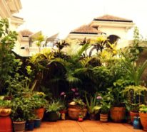 Balkon-Garten: Basis-Tipps für erfolgreiche Balkongestaltung