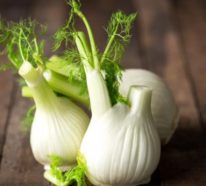 Fenchel – gesundes Gemüse, scharfes Gewürz oder Heilpflanze?