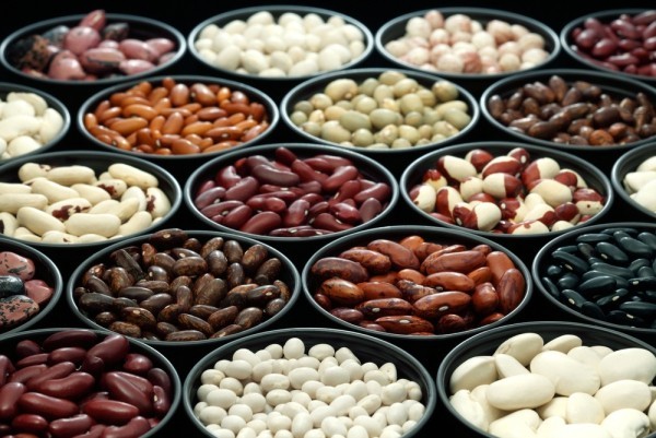 Gesunde Ernährung verschiedene Bohnensorten alle gut bei hohem Cholesterin