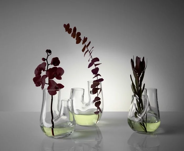Pflanzen Terrarium vasen mit sukkulenten