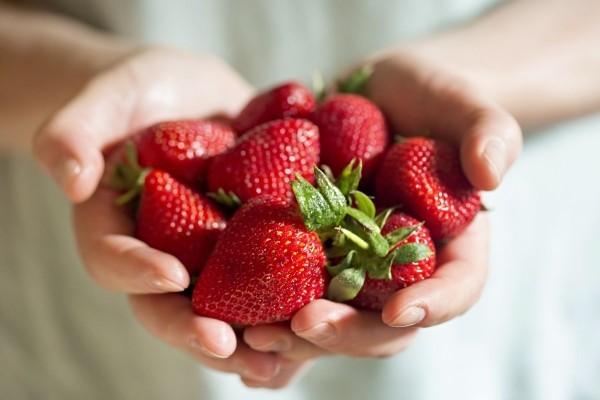 Reife Erdbeeren gesunde Ernährung so zwischen durch essen
