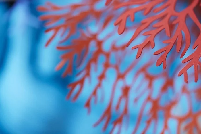 diy ideen deko Mlle Hipolyte korallen farbvielfalt