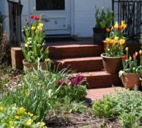 Die 6 besten Tipps für die perfekte Gartengestaltung im Frühling
