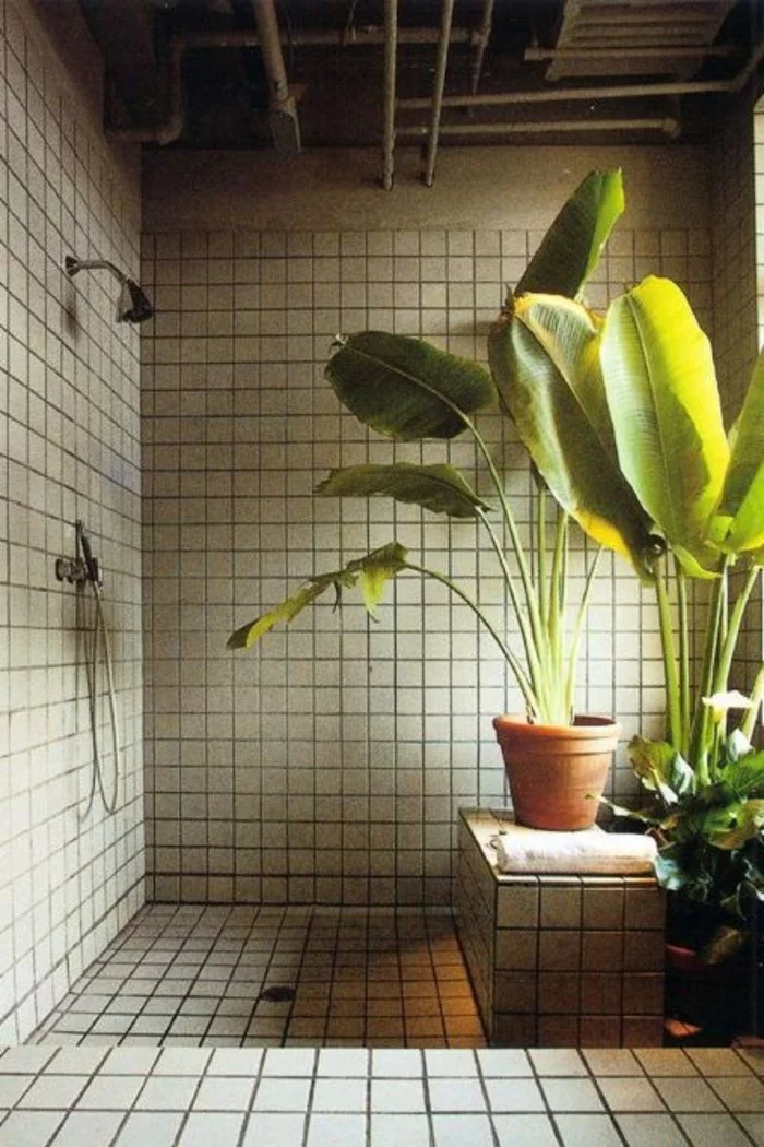 gruene pflanzen badezimmer gestalten bananen