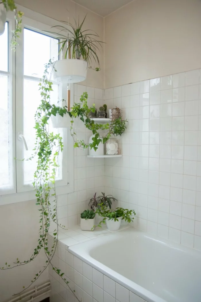gruene pflanzen badezimmer gestalten efeu