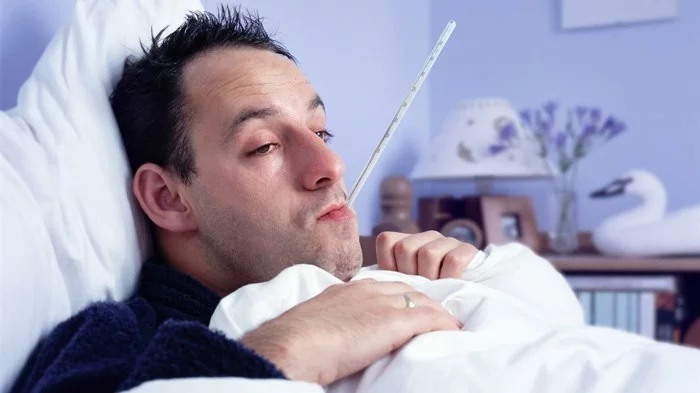 heilkrauter gegen grippe ayurveda krank
