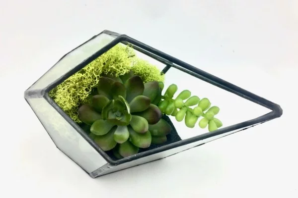 pflanzen terrarium eckige moderne form