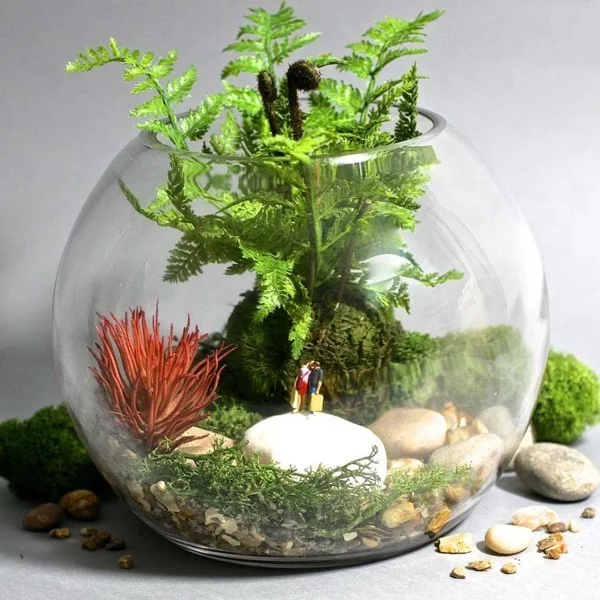 pflanzen terrarium kugel mit einem loch oben