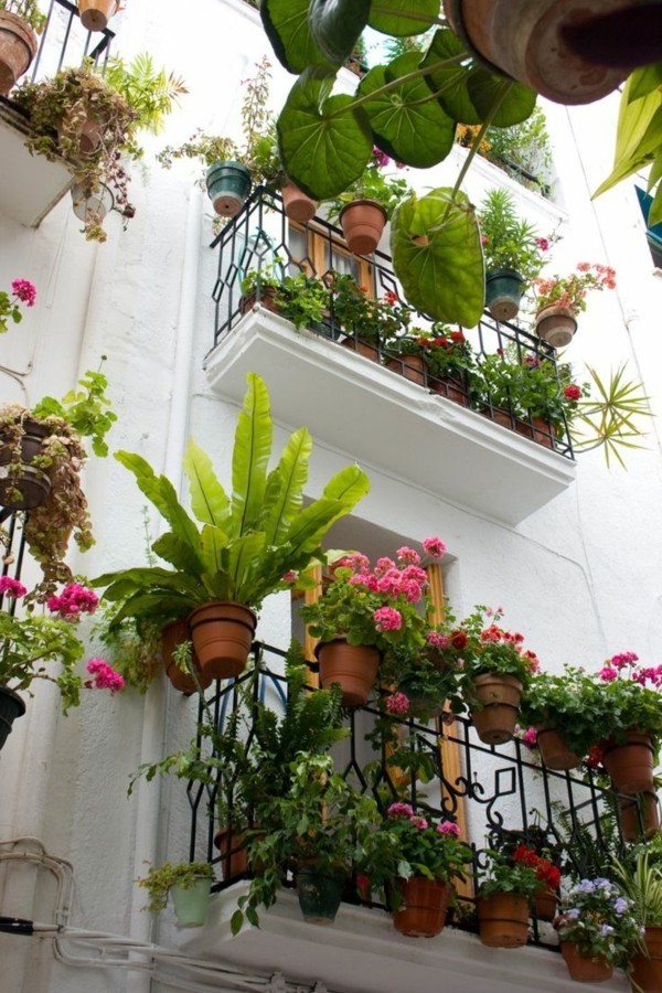 vertikale Ideen Balkon bepflanzen