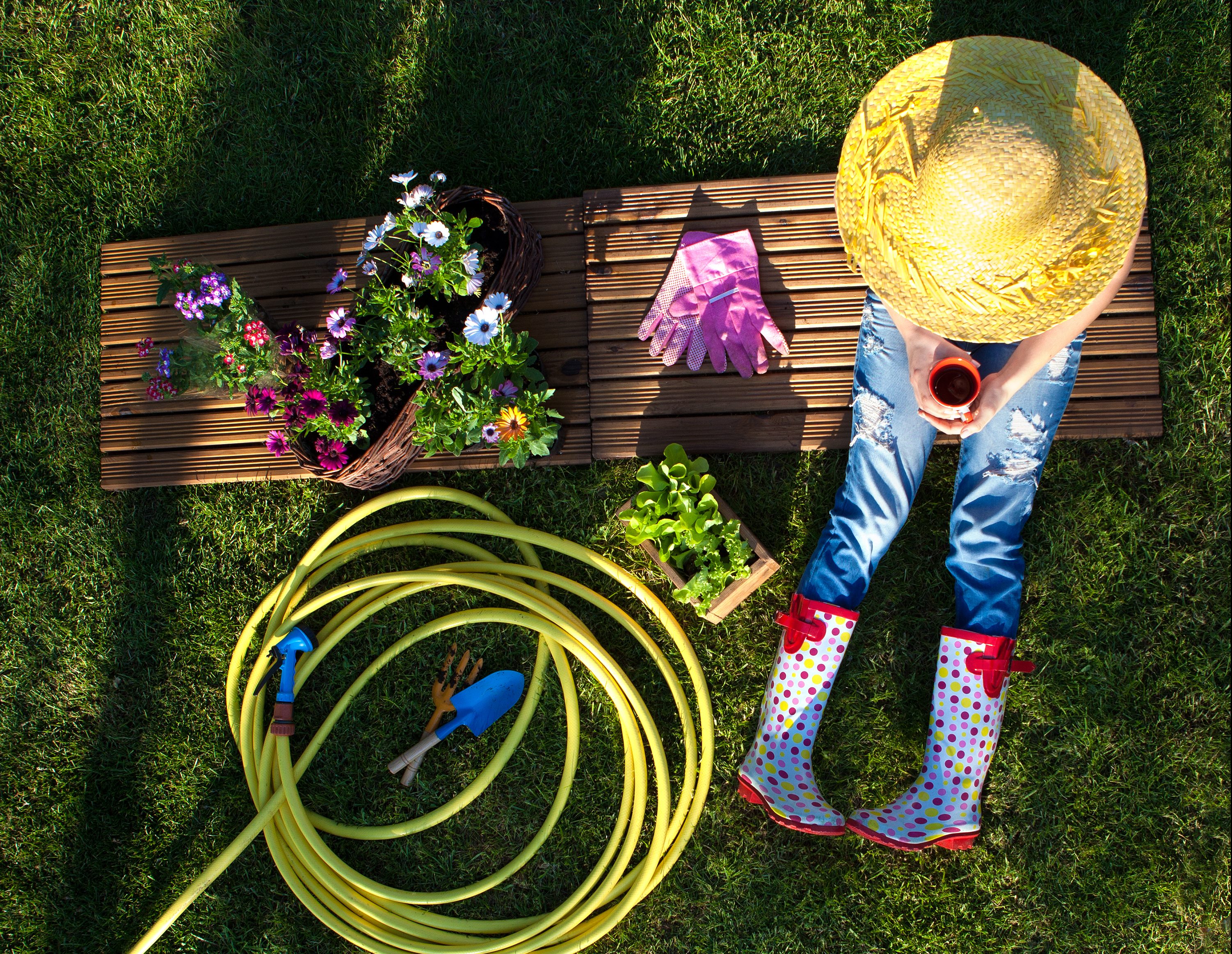 Gartenarbeit im März – was Sie darüber wissen müssen ...