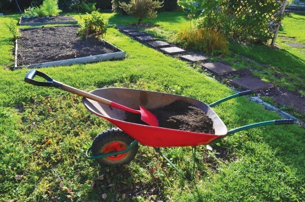 Gartenarbeit im März – was Sie darüber wissen müssen ...