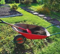 Gartenarbeit im März – was Sie darüber wissen müssen